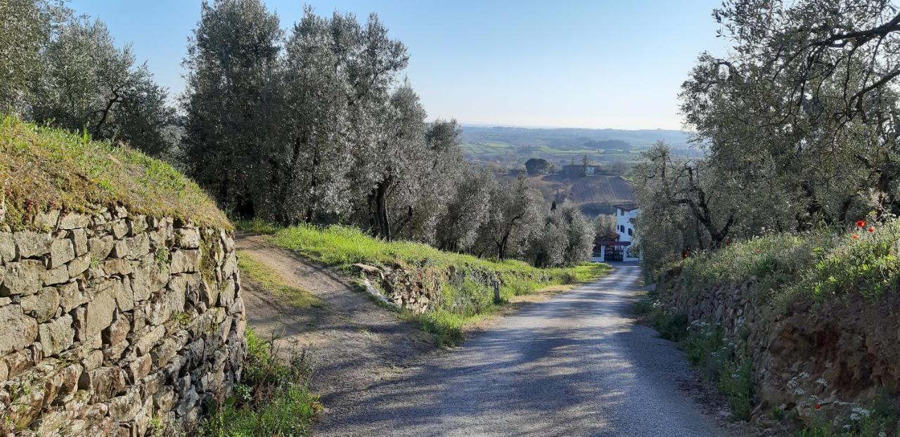 Il Fienile Di Tigliano Villa Vinci Bagian luar foto