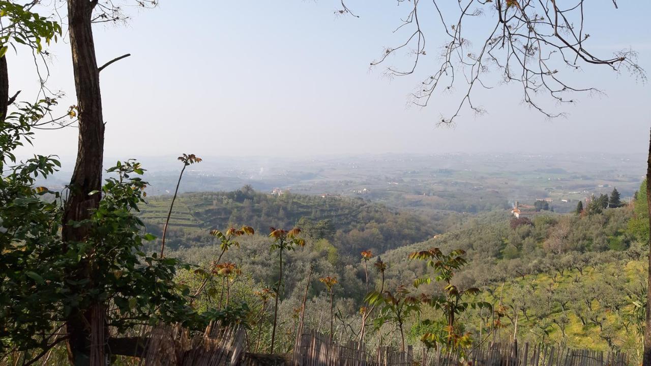 Il Fienile Di Tigliano Villa Vinci Bagian luar foto